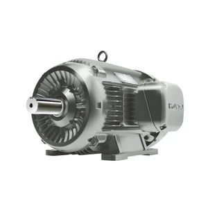 Hyundai HHI AC Motor, 1.5 HP, 1800 RPM, 460 V, TEFC, 145T Frame, 60 Hz (IEEE1.5-18-145T)