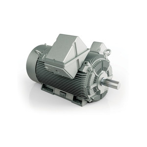 Hyundai HHI AC Motor, 300 HP, 1200 RPM, 460 V, TEFC, L449T-6P Frame, 60 Hz (IEEE300-12-L449T-IBSH)