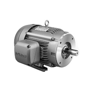 Hyundai HHI AC Motor, 5 HP, 3600 RPM, 460 V, TEFC, 184TC Frame, 60 Hz (IEEE5-36-184TC)