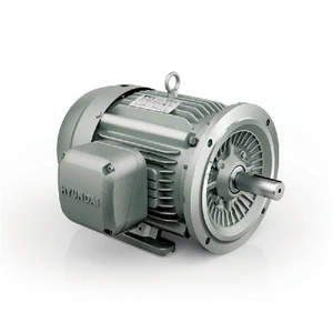 Hyundai HHI AC Motor, 3 HP, 3600 RPM, 460 V, TEFC, 182TD Frame, 60 Hz (IEEE3-36-182TD)