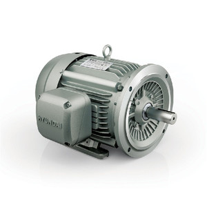 Hyundai HHI AC Motor, 40 HP, 3600 RPM, 460 V, TEFC, 324TSD Frame, 60 Hz (IEEE40-36-324TSD)