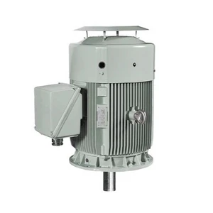 Hyundai HHI AC Motor, 10 HP, 1200 RPM, 460 V, TEFC, 256TC Frame, 60 Hz (IEEE10-12-256TCRDV)