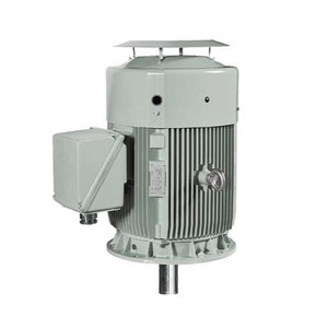 Hyundai HHI AC Motor, 15 HP, 3600 RPM, 460 V, TEFC, 254TC Frame, 60 Hz (IEEE15-36-254TCRDV)