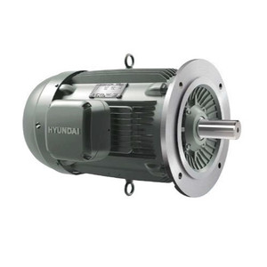 Hyundai HHI AC Motor, 1.5 HP, 1200 RPM, 460 V, TEFC, 182TD Frame, 60 Hz (IEEE1.5-12-182TDRD)