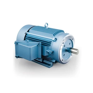 Hyundai IXHHI AC Motor, 15 HP, 1200 RPM, 230/460 V, TEFC, 284TC Frame, 60 Hz (IXHHI15-12-284TC)