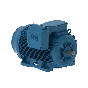 WEG, AC Motor, 20018ET3G447T-W22, 200 HP, 1800 RPM, 445, 7T, Three Phase, 460 V, 60 Hz (20018ET3G447T-W22)