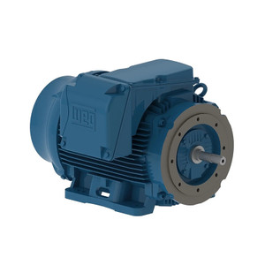 WEG, AC Motor, 20018ET3G447TC-W22, 200 HP, 1800 RPM, 445, 7TC, Three Phase, 460 V, 60 Hz (20018ET3G447TC-W22)