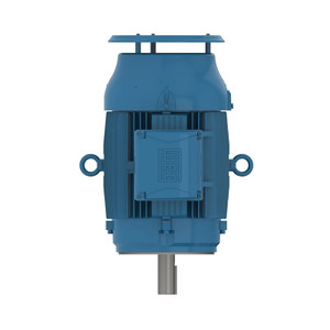 WEG, AC Motor, 01536ET3ER254TC-W22, 15 HP, 3600 RPM, 254TC, Three Phase, 230/460 V, 60 Hz (01536ET3ER254TC-W22)