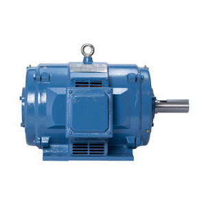 Galt Electric ODP Motor 	GDP12504-405TS-K, 125HP, 1800RPM, 3-Phase, 460V, 60Hz, 405TS (GDP1250-4-405TS-K)