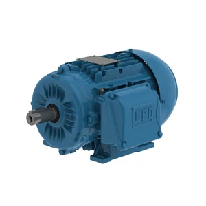 WEG, AC Motor, 00318ET3WAL100L-W22, 4 HP, 1800, 1500 RPM, 100L, Three Phase, 460, 220-240, 380-415 V, 60 Hz (00318ET3WAL100L-W22)