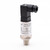 Galt, GPX4511-150PSIG-E-B1-C6 Pressure Transmitter, 0-150 PSI gauge, 4-20mA, 1% (GPX4511-150PSIG-E-B1-C6)