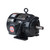 US Motors (Nidec), AC Motor, A2P2C, 2 HP, 1800 RPM, Three Phase, 460 V, 60 Hz, 184 (A2P2C)
