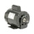 US Motors (Nidec), AC Motor, BD14CA3J9, 0.25 HP, 1200 RPM, Single Phase, 115/208-230 V, 60 Hz, 56 (BD14CA3J9)