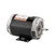 US Motors (Nidec), AC Motor, EE609, 1.5 HP, 3600 RPM, Three Phase, 208-230/460 & 190/380 V, 60 , 50 Hz, 56C (EE609)