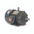 US Motors (Nidec), AC Motor, HD5P3E, 5 HP, 1200 RPM, Three Phase, 230/460 & 200/400 V, 60 , 50 Hz, 215T (HD5P3E)