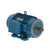 WEG AC Motor 25 HP, 3600 RPM, 284, 6TSC, Three Phase, 460 V, 60 Hz (02536ST3QIE284TSC-W2)