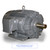 TECO CD3008R 300 HP, 900 RPM, 460 V, TEFC, 5806C Frame, Three Phase, 60/50 Hz (CD3008R)