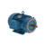 WEG, AC Motor, 00718ST3QIE213TC-W22, 7.5 HP, 1800 RPM, 213, 5TC, Three Phase, 460 V, 60 Hz (00718ST3QIE213TC-W22)