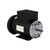 WEG, AC Motor, 00536OS1DCD56H-S, 5 HP, 3600 RPM, 56H, Single Phase, 230 V, 60 Hz (00536OS1DCD56H-S)