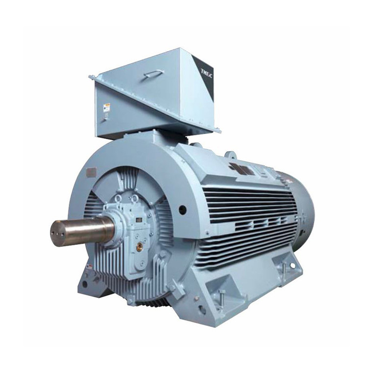 225HP 3300V TMEIC TM21-G AC Motor (IC411-3.3kV-225HP-2967RPM-FRAME315H-2pole-50Hz-TEFC)
