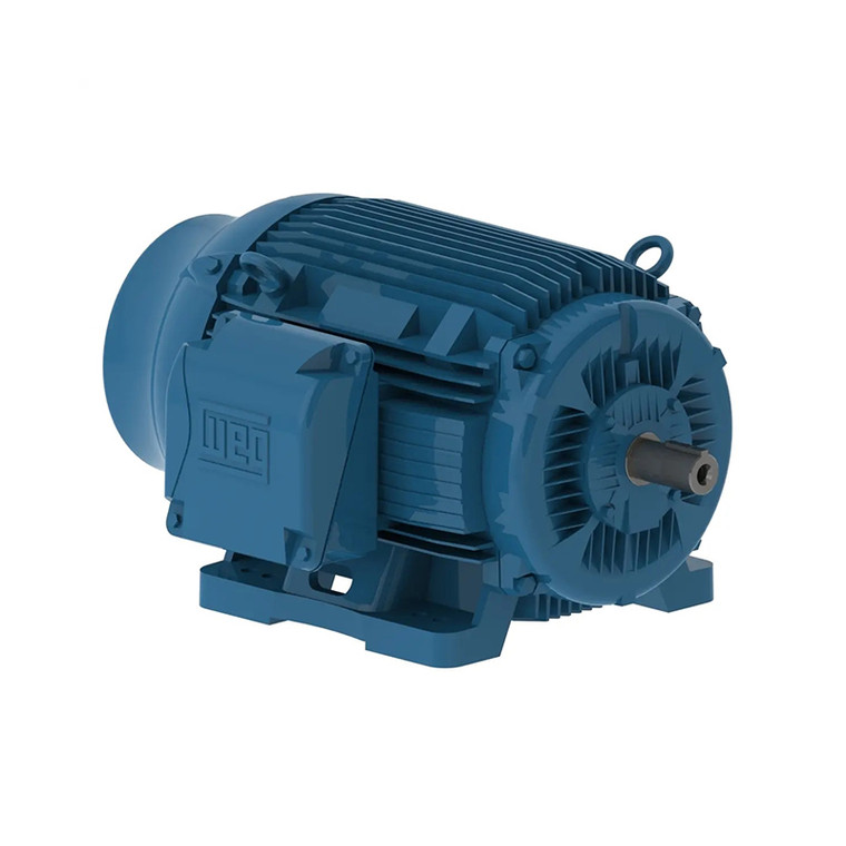 WEG AC Motor 125 HP, 1200 RPM, 444, 5T, Three Phase, 230/460 V, 60 Hz (12512ET3E445T-W22)