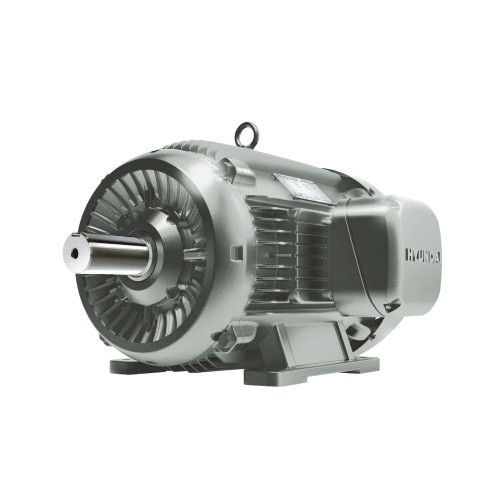 Hyundai HHI AC Motor, 75 HP, 3600 RPM, 460 V, TEFC, 365TS Frame, 60 Hz (IEEE75-36-365TS)
