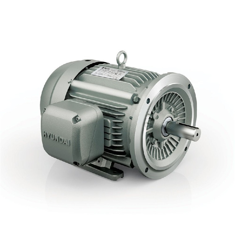 Hyundai HHI AC Motor, 150 HP, 3600 RPM, 460 V, TEFC, 445TSD Frame, 60 Hz (IEEE150-36-445TSD)