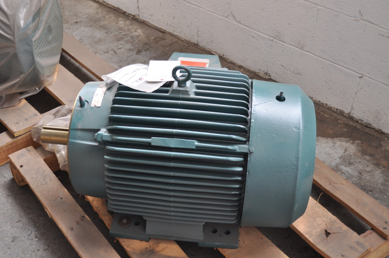 25 HP, 1200 RPM, 230/460 V, Reliance Surplus Electric Motor (W1-803600)