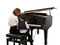 Wertheim W160 BP/PD with Piano Disc Prodigy Player System