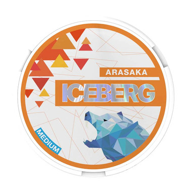 Iceberg - Arasaka