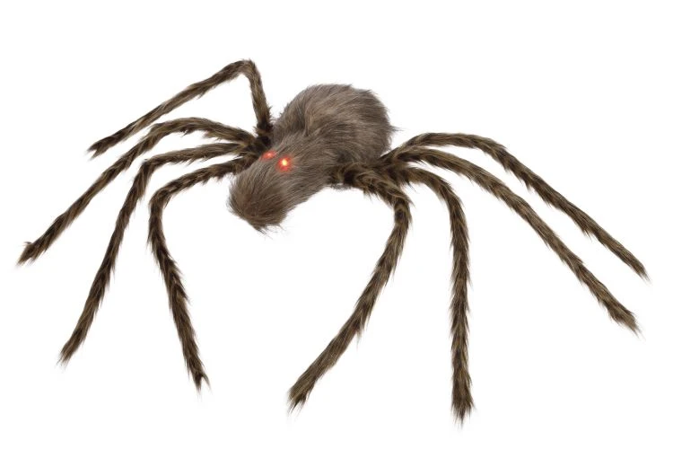 Collection Animated Spider 41x3 Inches Figurine
