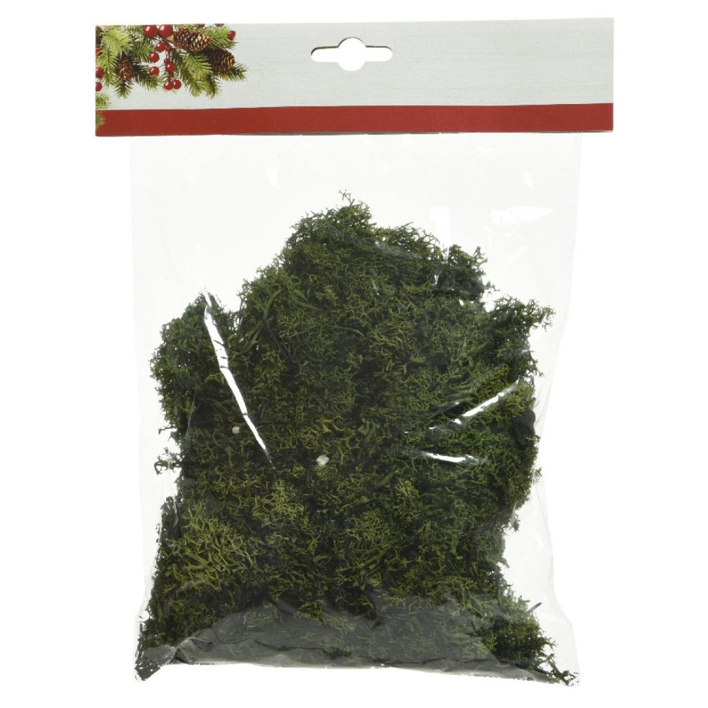 Decorative Moss The Christmas Loft