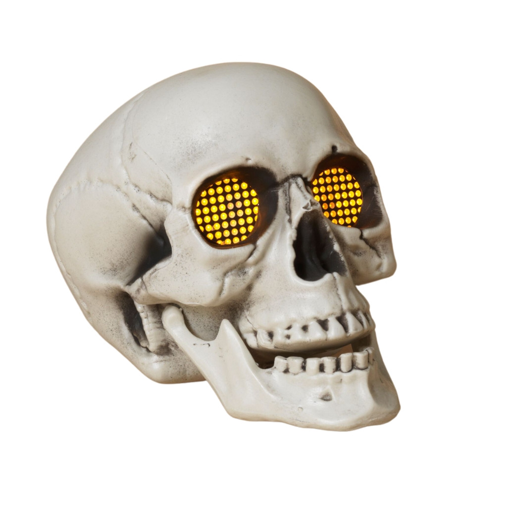 Light Up Skull w/Sound