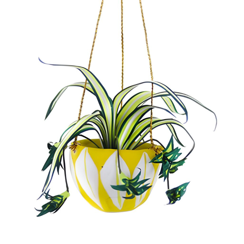 Chic Spider Plant Ornament