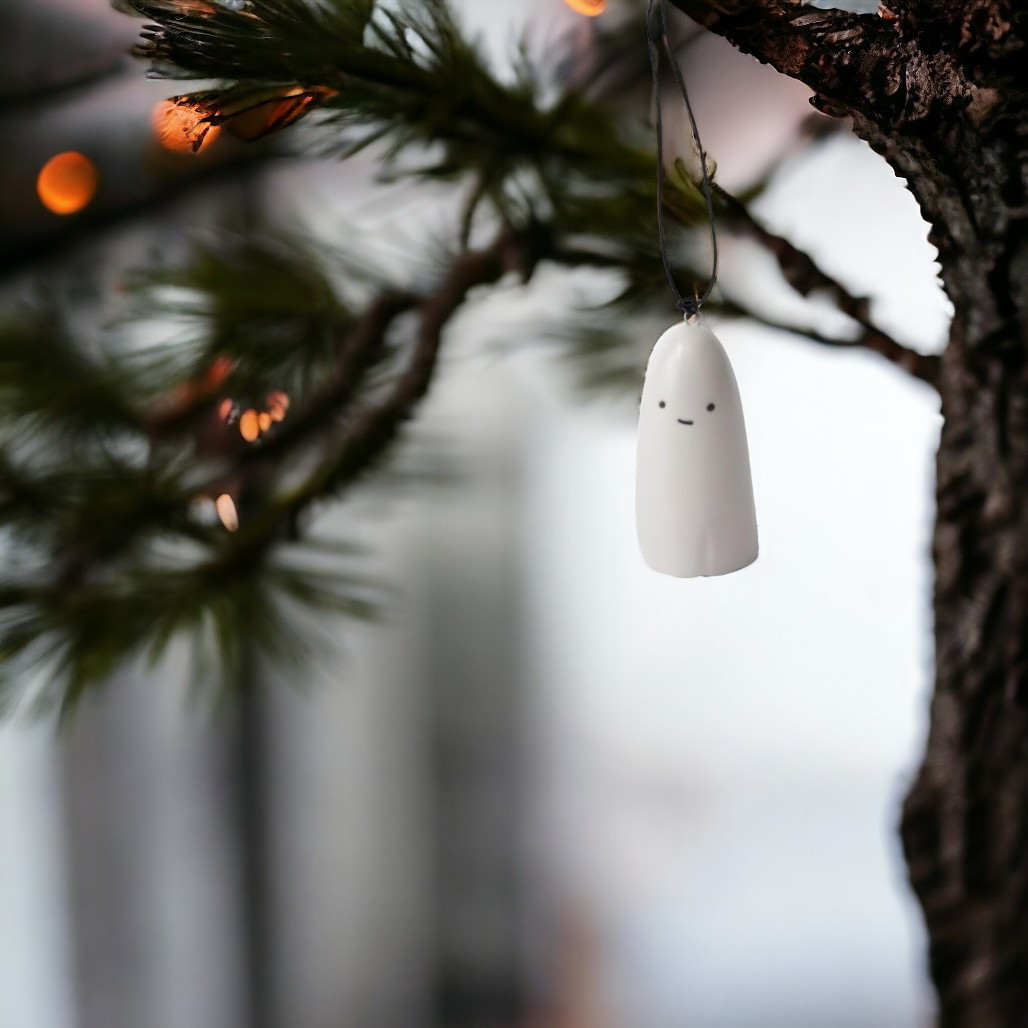 Little Ghost Tillandsia Holder
