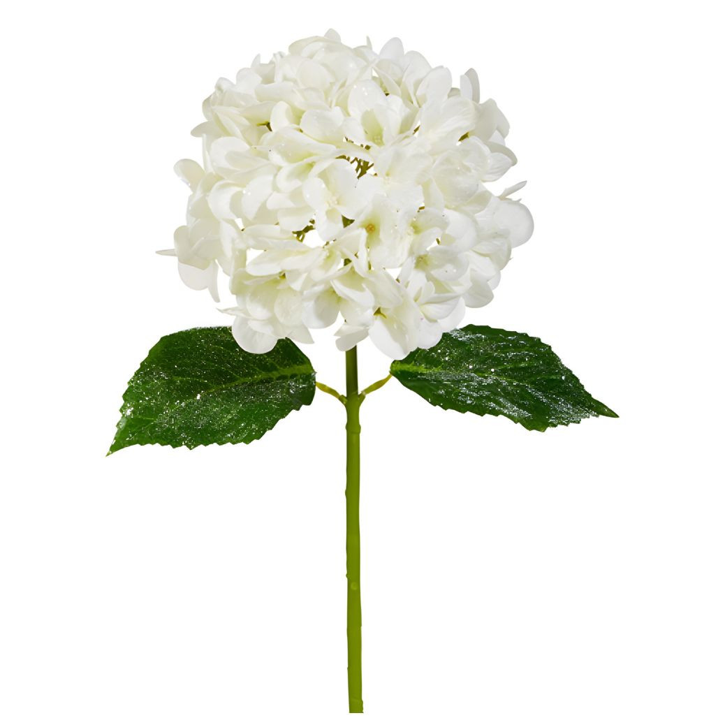 Iced White Hydrangea Stem