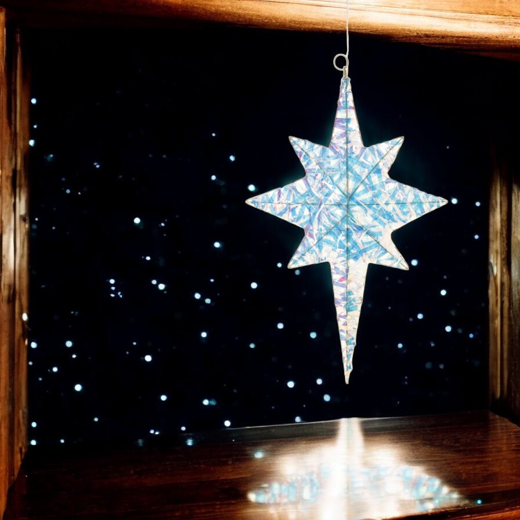 LED Large Star Ornament