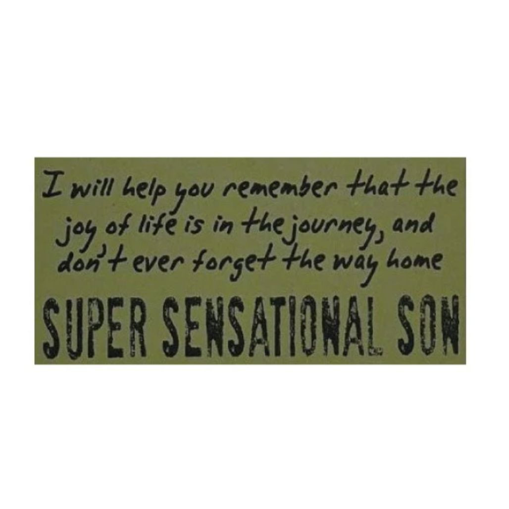 Voodoo Doll - Super Sensational Son Charm
