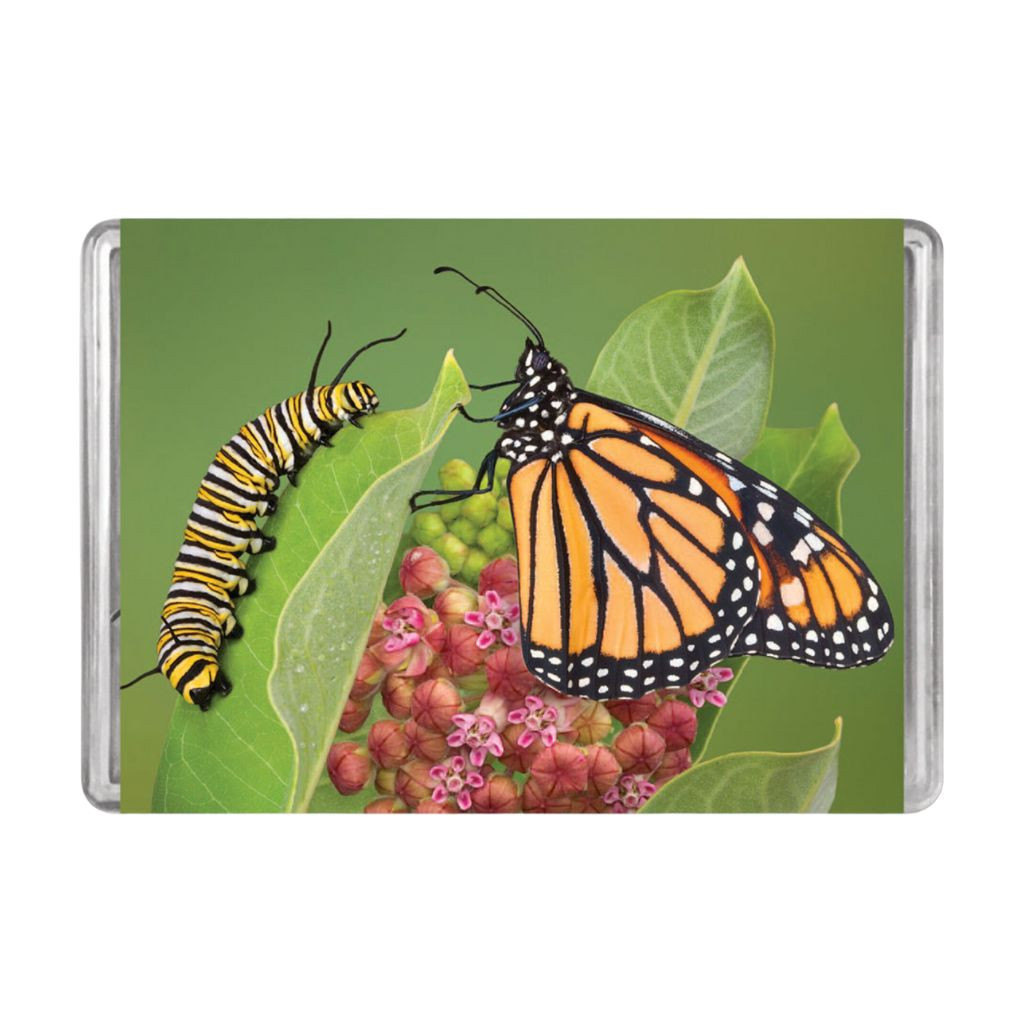 Monarch Butterfly Minipix Puzzle