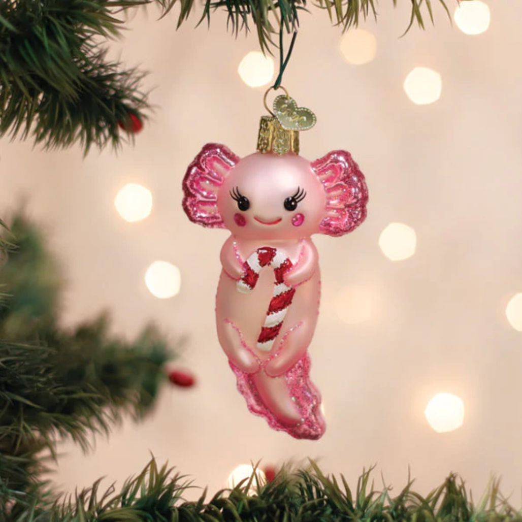 Axolotl with Candy Cane Ornament