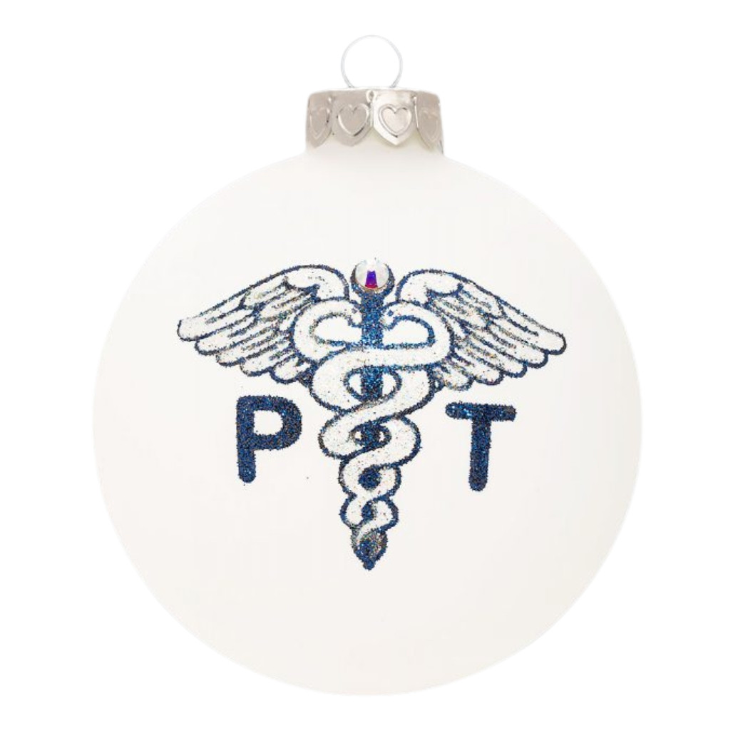 Heart Gifts Physical Therapist Glass Ornament