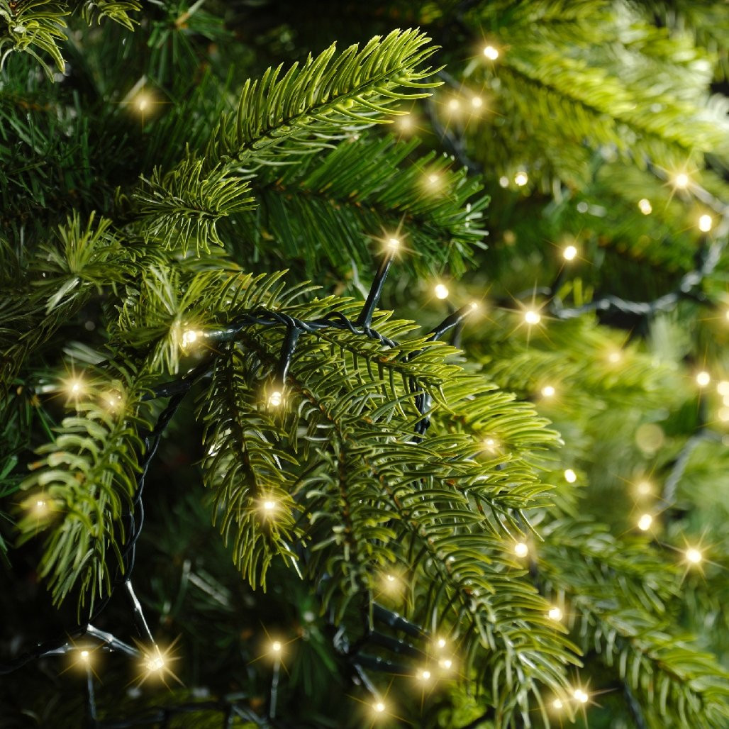Lumineo 600 Soft Gold LED Sparkle Lights – Green Wire