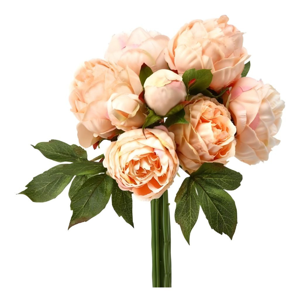 Coral Peony & Buds Bundle, 13 inches