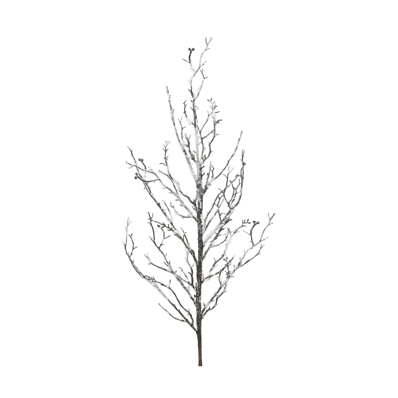 Snow-Covered Winter Branch Spray
