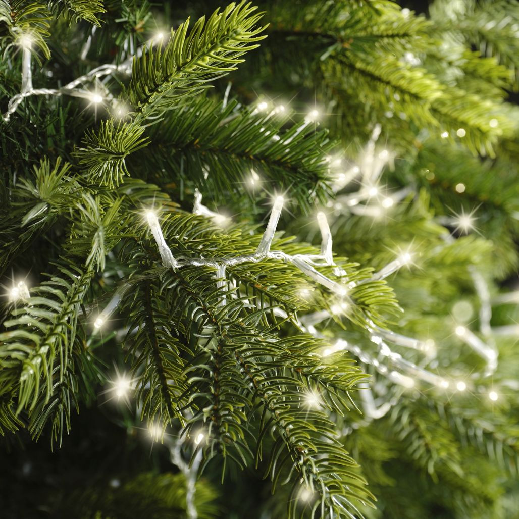 Lumineo 500 LED Warm White Compact Lights Transparent Wire