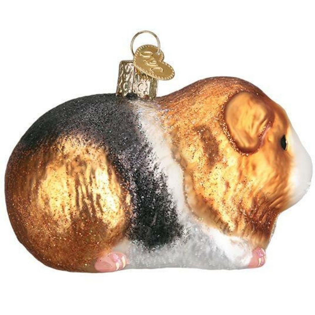 Old World Christmas - Guinea Pig Ornament