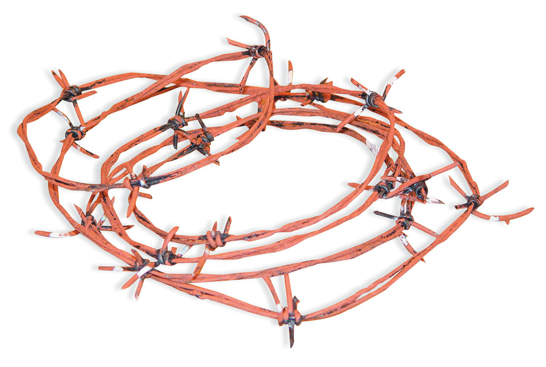 12 Foot of costume Barbed wire