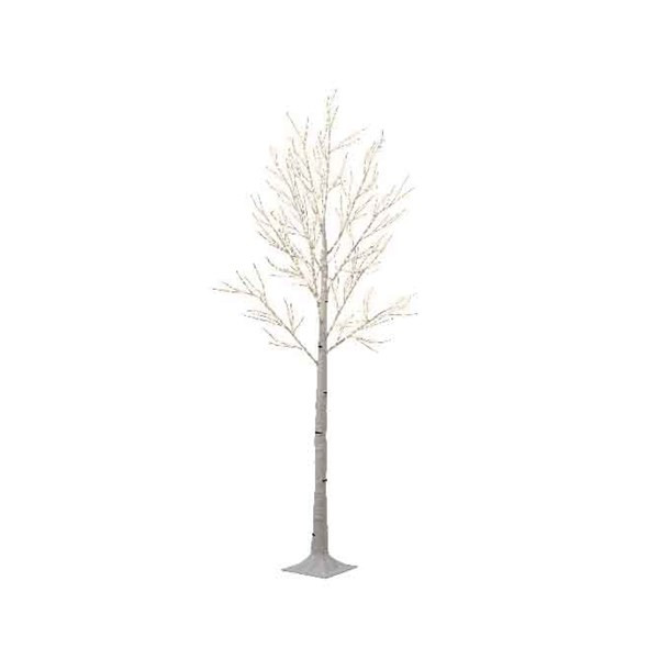 Birch Tree, 7 Feet, Lit with Warm White Lights