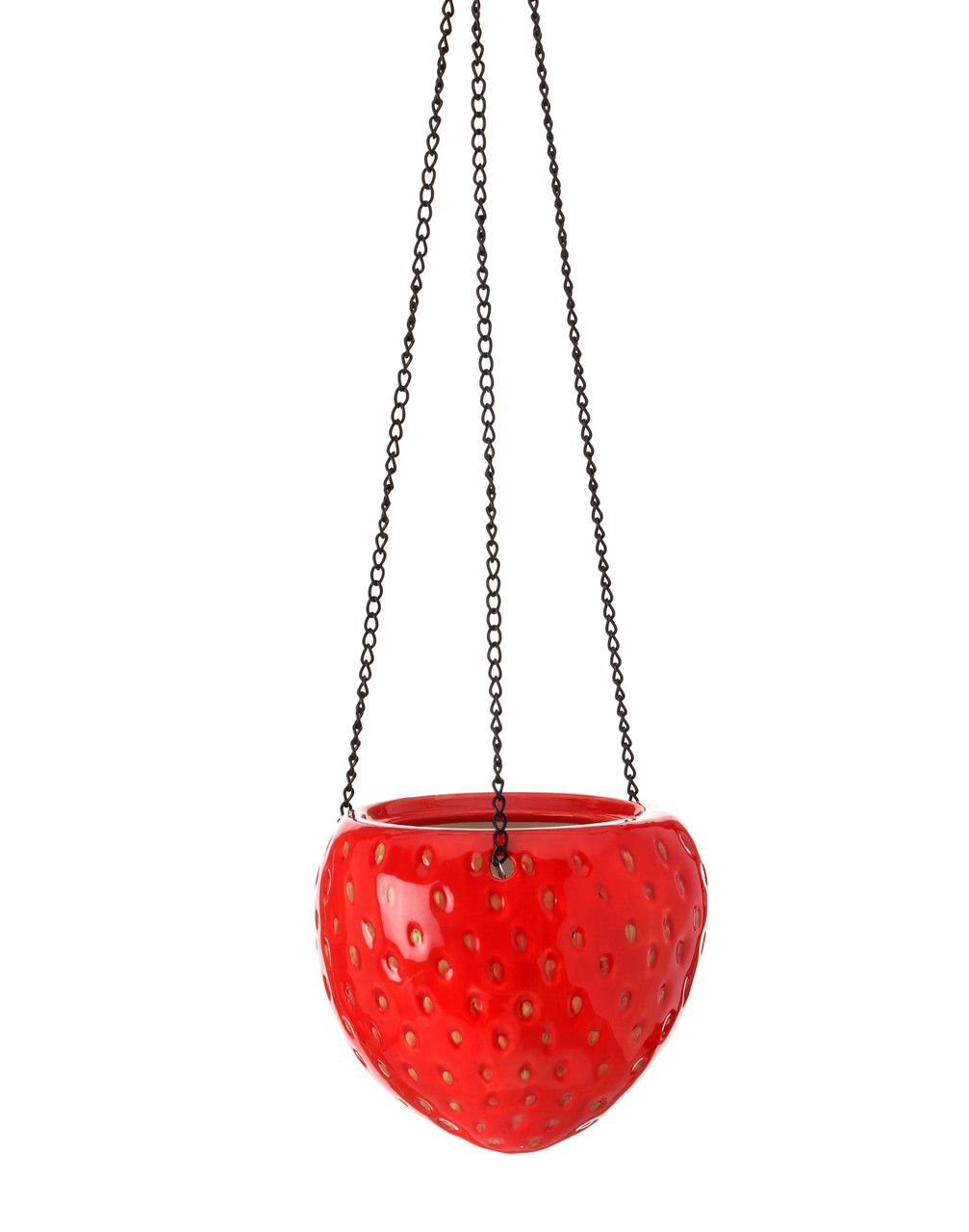 Strawberry Hanging Planter