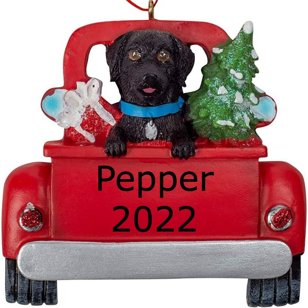 Personalized Black Labrador In Back Of Truck Ornament